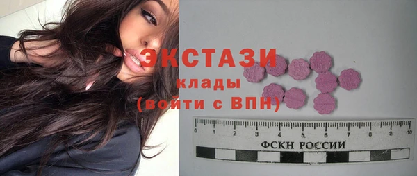 МДПВ Краснослободск