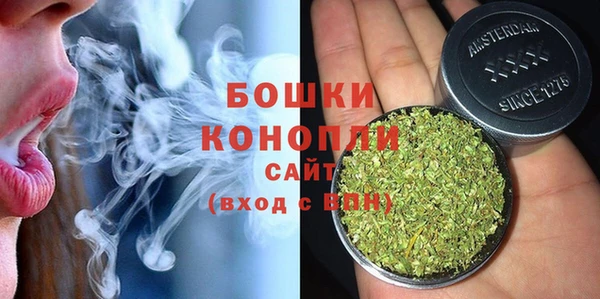 МДПВ Краснослободск