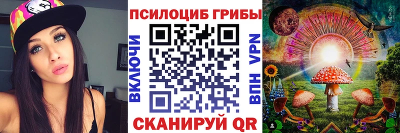 Галлюциногенные грибы Psilocybe  Купить  Малгобек 